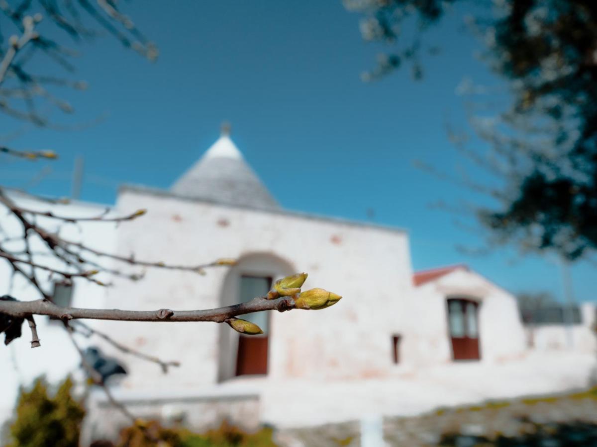 Rifugio Di Puglia - Trulli & Dimore Алберобело Екстериор снимка